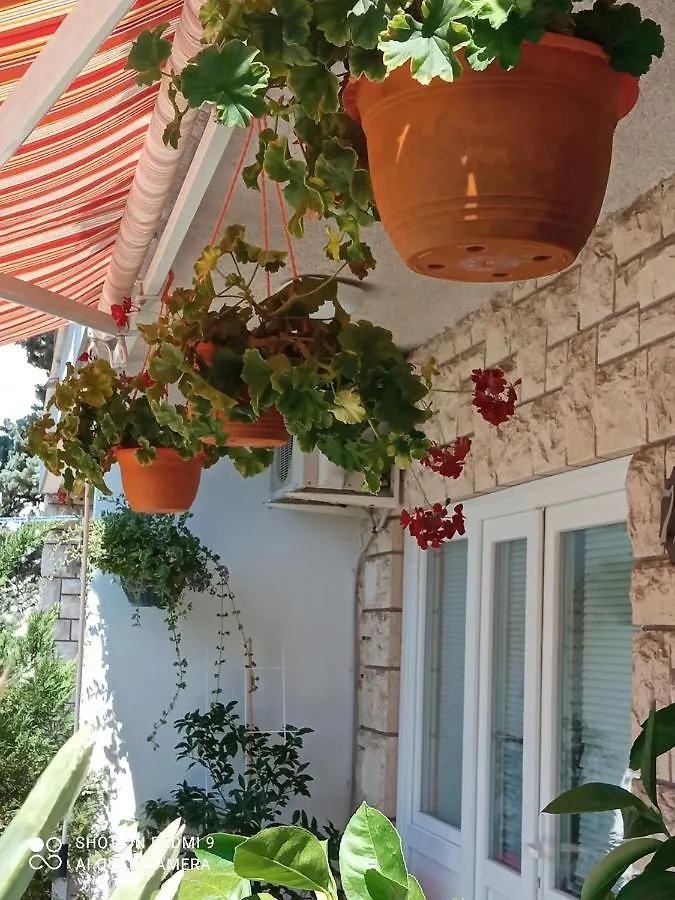 דירות קוסטרנה Sunce